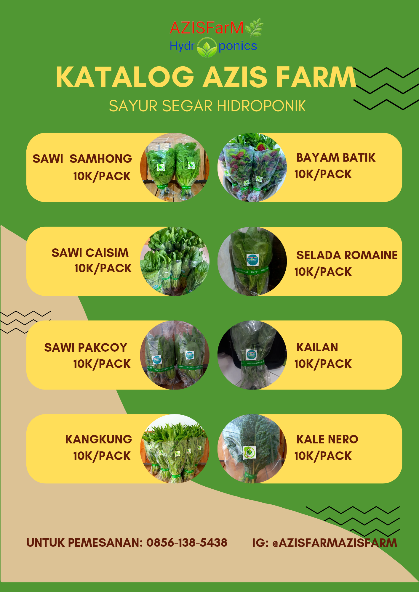 Aneka sayur segar hidroponik