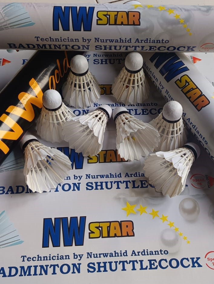Shuttlecock